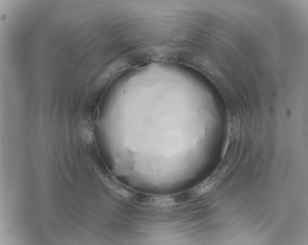 X0000072510719200608041506