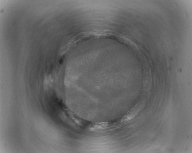 X0000072510720200608041506