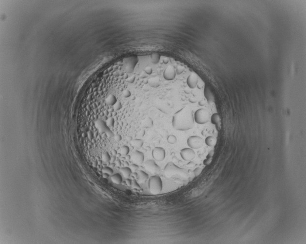 X0000072510721200608041505