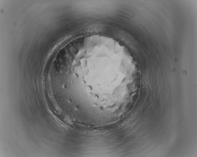 X0000072510722200608041505