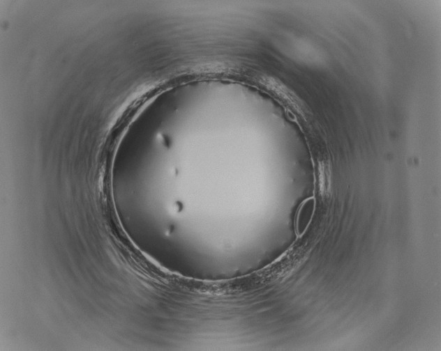 X0000072510723200608041505