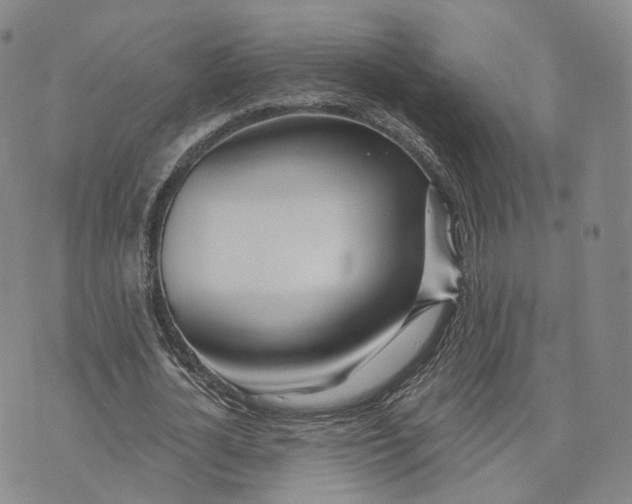 X0000072510724200608041505