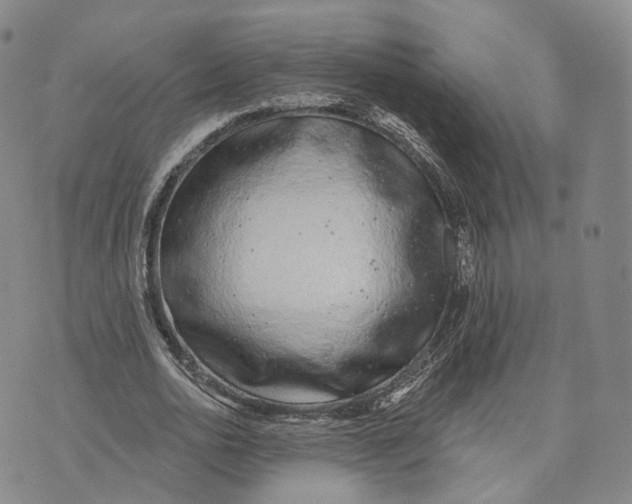 X0000072510726200608041505