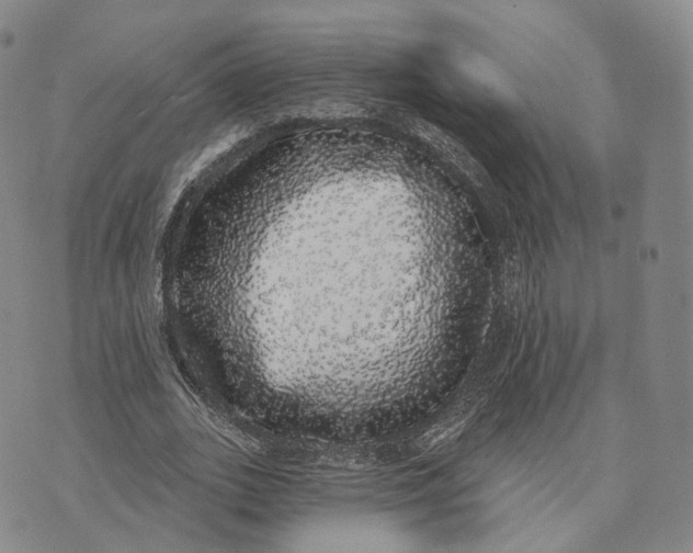 X0000072510727200608041505