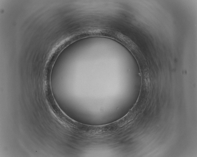 X0000072510728200608041505