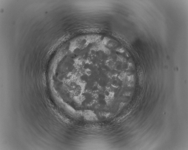 X0000072510729200608041506