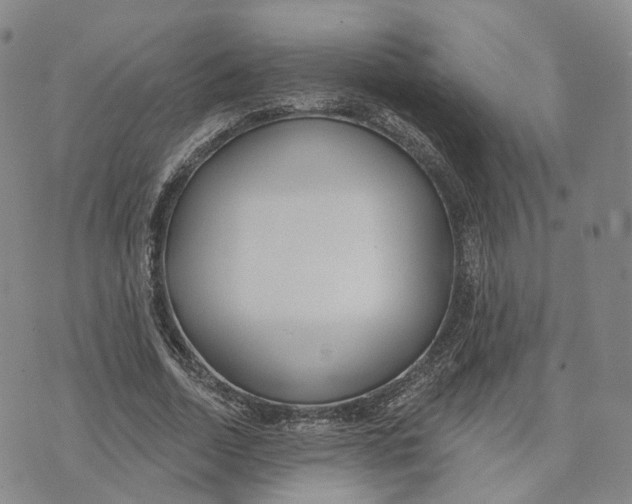 X0000072510730200608041506