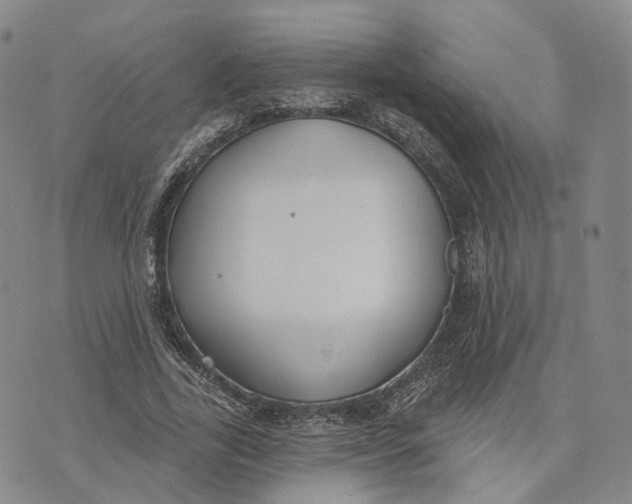 X0000072510731200608041506