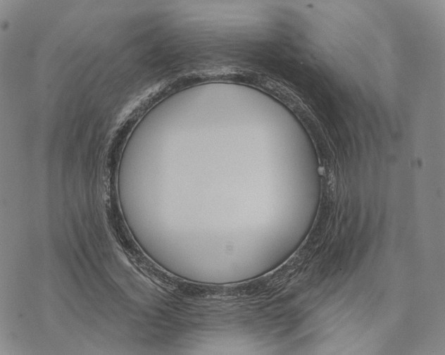 X0000072510732200608041506