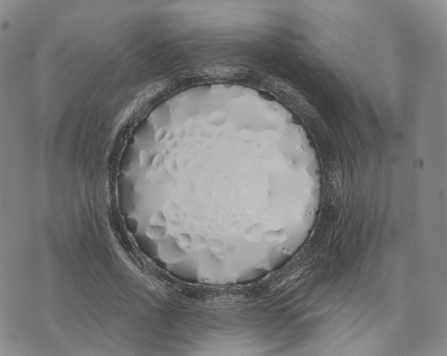 X0000072510734200608041506