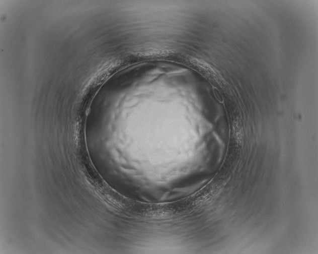 X0000072510735200608041506