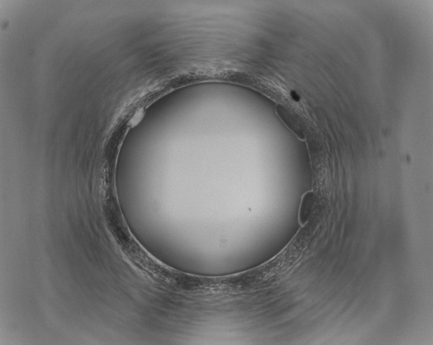 X0000072510736200608041506