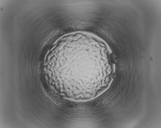 X0000072510738200608041506