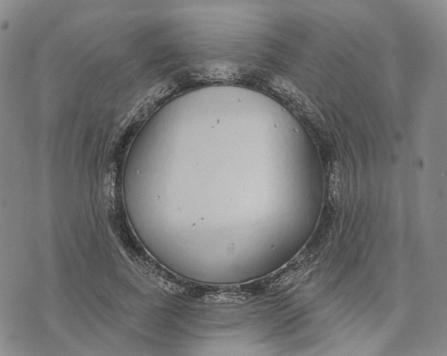 X0000072510739200608041506