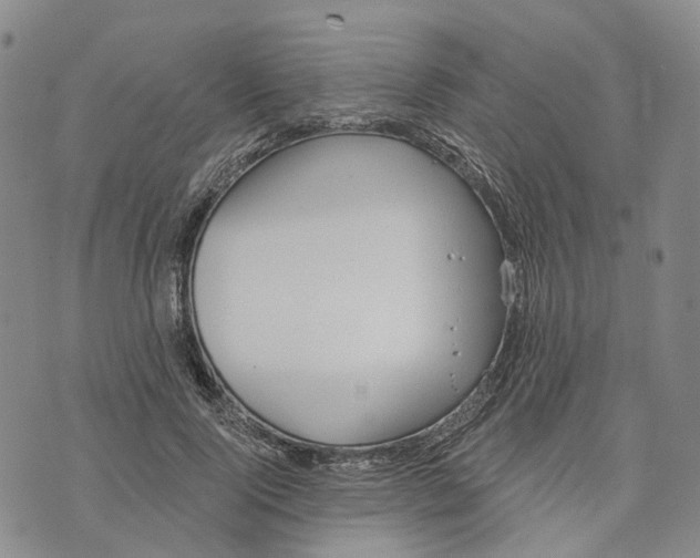 X0000072510740200608041506