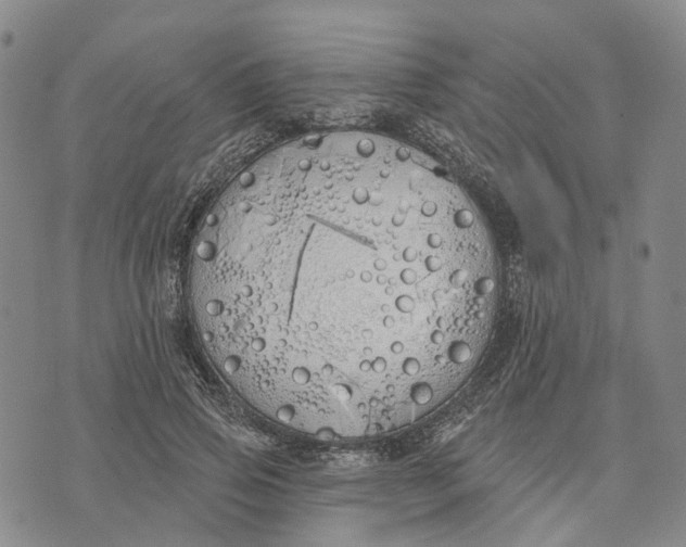 X0000072510741200608041506