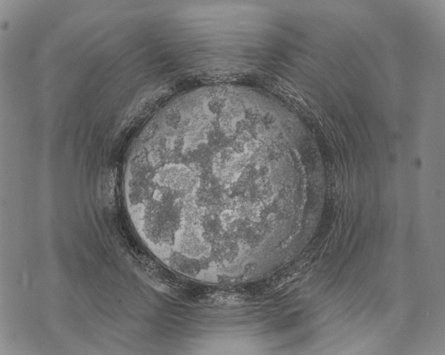 X0000072510742200608041506