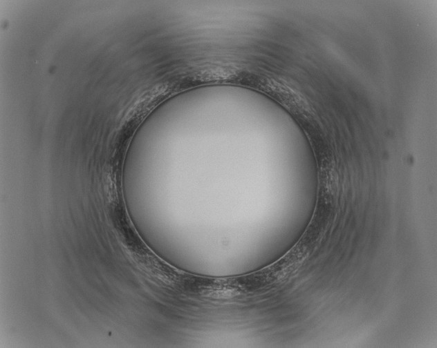 X0000072510743200608041506