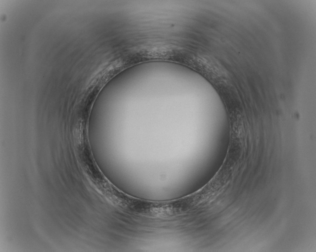 X0000072510744200608041506