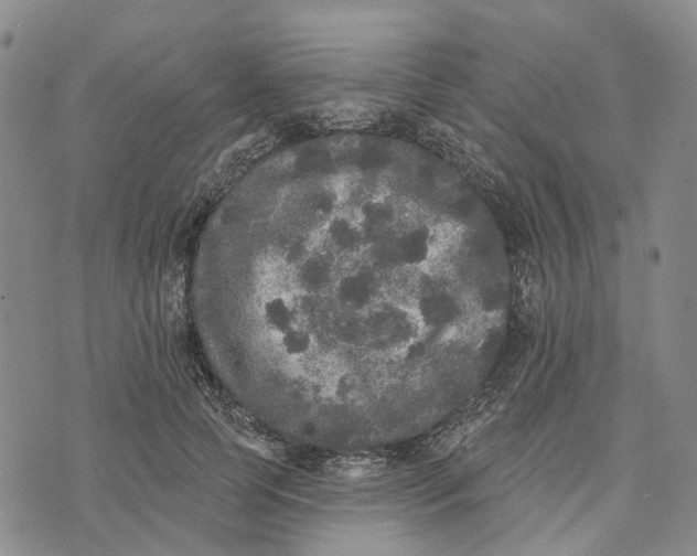 X0000072510745200608041506