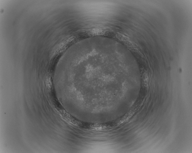 X0000072510746200608041506