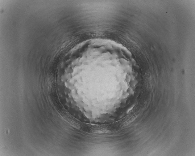 X0000072510747200608041506