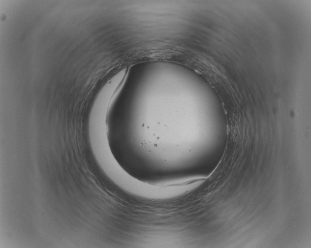 X0000072510748200608041506