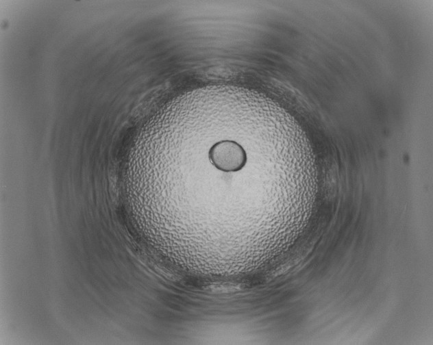 X0000072510749200608041506