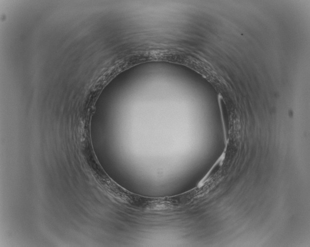 X0000072510750200608041506