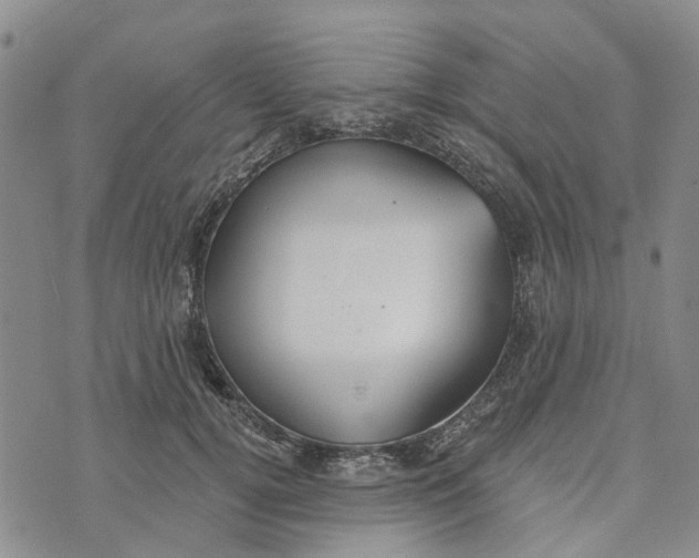 X0000072510752200608041506