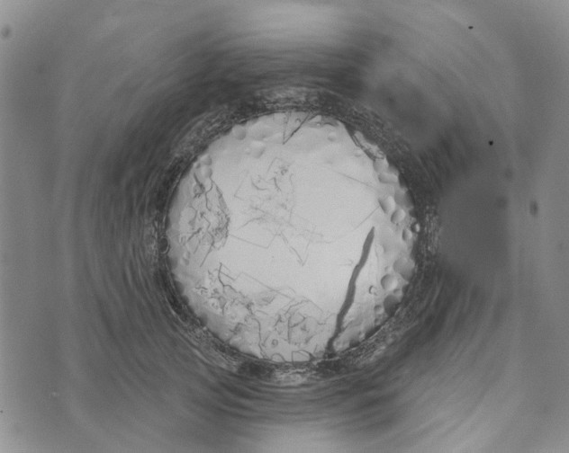 X0000072510753200608041506