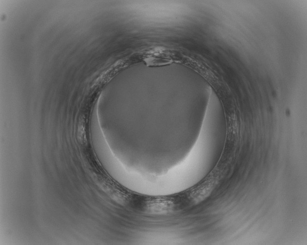 X0000072510754200608041506