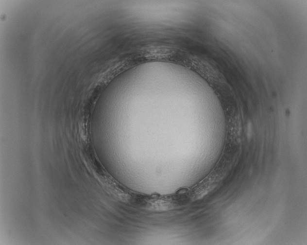 X0000072510755200608041506