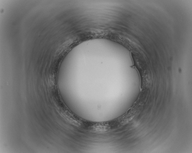 X0000072510756200608041506