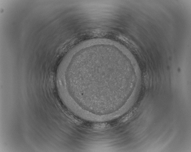 X0000072510757200608041506