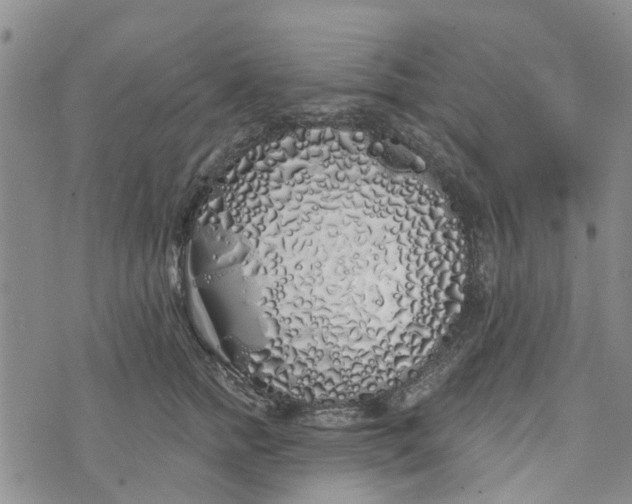 X0000072510758200608041506