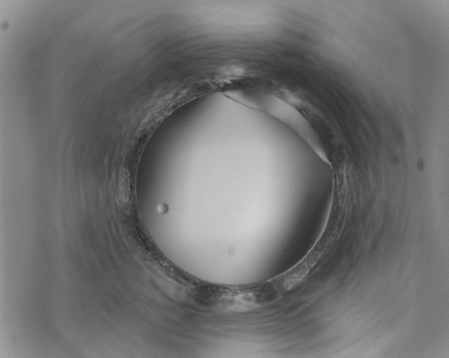 X0000072510760200608041506