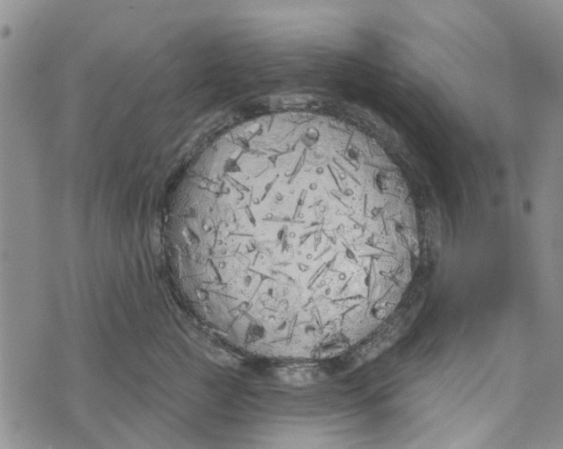 X0000072510761200608041506