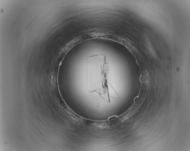 X0000072510763200608041506