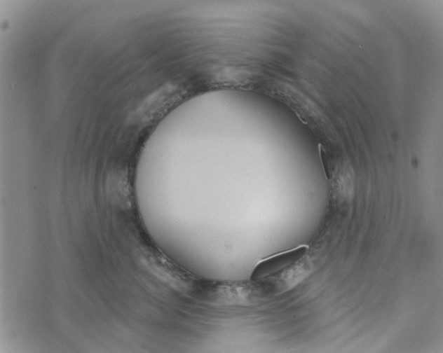 X0000072510764200608041506