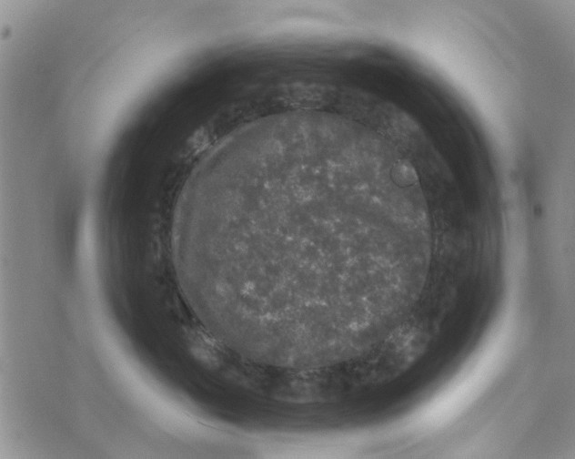 X0000072510765200608041506