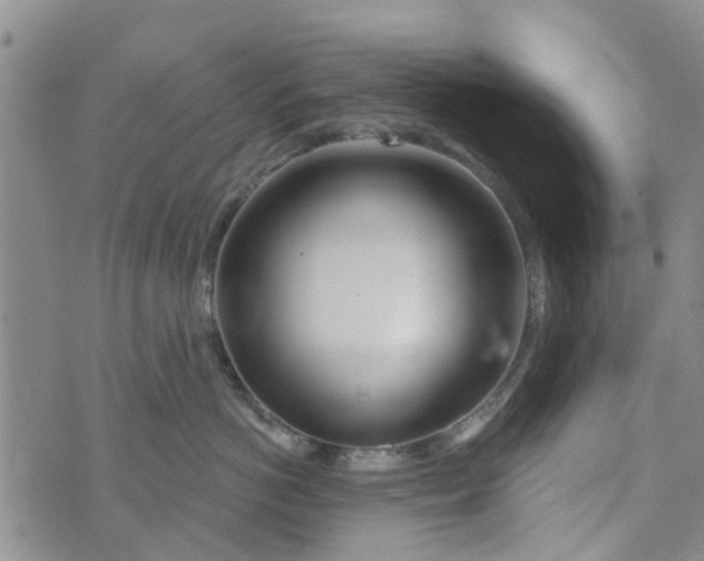 X0000072510766200608041506