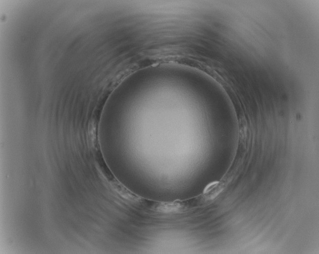 X0000072510767200608041506