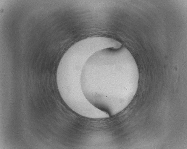 X0000072510768200608041506