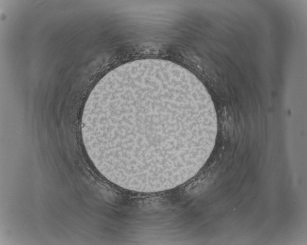 X0000072510769200608041505