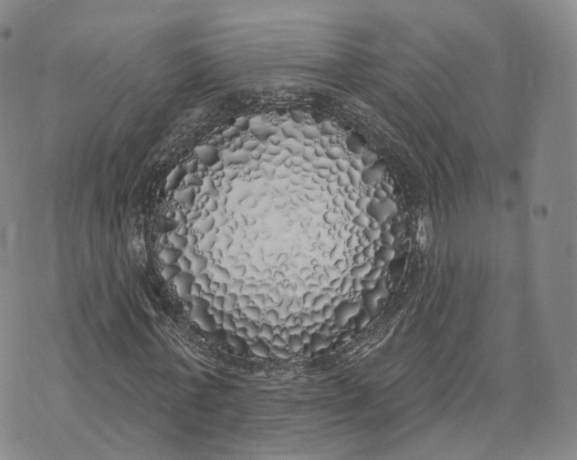 X0000072510771200608041505