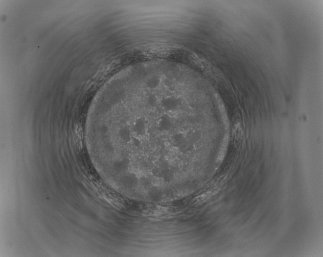 X0000072510772200608041505