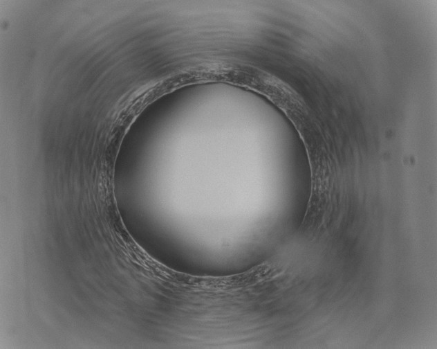 X0000072510773200608041505