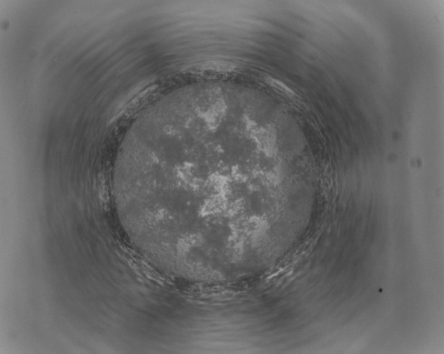 X0000072510774200608041505