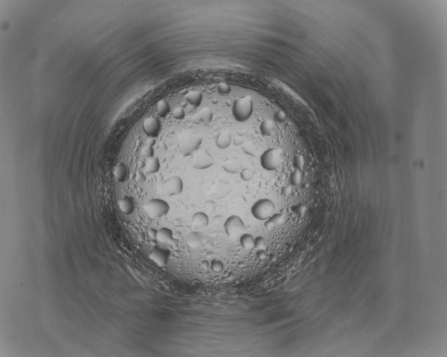 X0000072510775200608041505